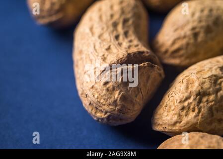 Ein Haufen von gerösteten Erdnüssen auf eine trendige blauer Hintergrund mit Platz für Design und Ihren Text. Konzept. Landwirtschaft Stockfoto