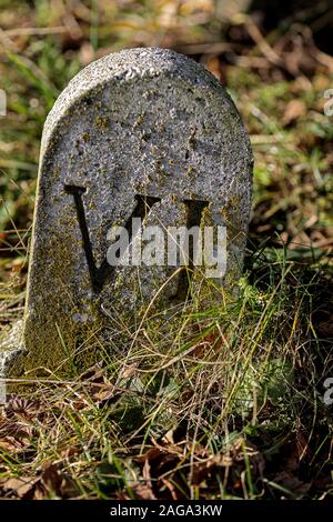 Antike alte Straße Markierung aus Stein mit gravierten VI, bewachsen mit Moos und Gras umgeben sind Stockfoto