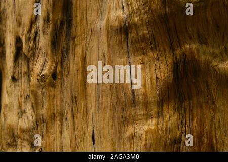 Die Oberfläche der natürlichen unbehandeltes Holz mit Schatten, und Falten in der natürlichen Form. Als Hintergrund oder Textur verwendet werden. Stockfoto