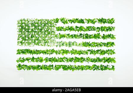 Konzept der eco freundlich in den Vereinigten Staaten. 3D-Rendering. Stockfoto