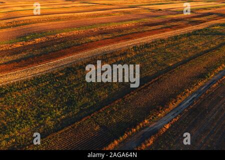 Farbenfrohen Landschaft patchwork Hintergrund, landwirtschaftlich genutzte Feld als abstraktes Muster im Herbst Sonnenuntergang, Luftaufnahme von Drone pov Stockfoto