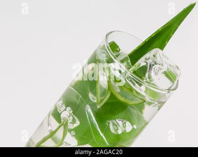 Trinken Aloe Vera Blätter in ein Glas auf einem weißen Hintergrund. Close-up Stockfoto