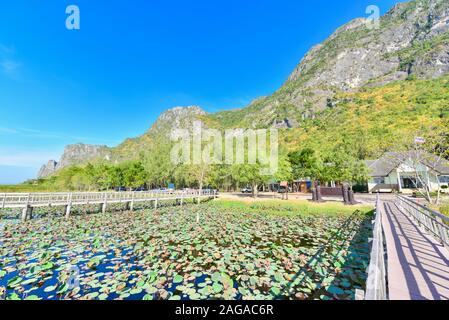 Holzbrücke bung Bua oder Lotus Lake in Khao Sam Roi Yot Nationalpark Stockfoto