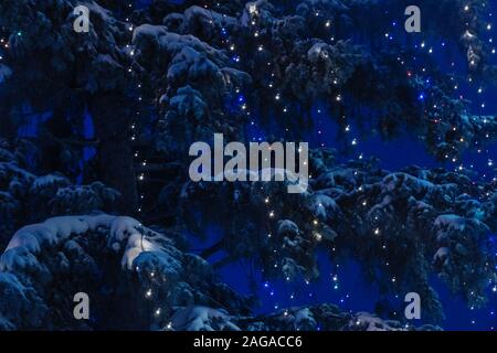Kranz mit Lichtern auf einem Schnee - Weihnachtsbaum in der Nacht bedeckt, gegen einen dunklen blauen Himmel Stockfoto