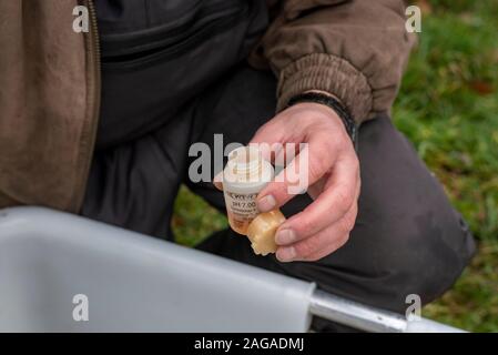 Zerbst, Sachsen-Anhalt, Deutschland. 18. Dez 2019. Steffen Bauer vom Institut für Binnenfischerei in Potsdam (Institur für Binnenfischerei) tropft ein Betäubungsmittel in eine Plastikwanne. Lachs und Meerforelle werden kurz betäubt in der Flüssigkeit zu messen, zu wiegen und zu kennzeichnen. Zahn leitet die Wanderfische Programm in Sachsen-Anhalt. Insgesamt 143.500 junge Lachse und Meerforellen 90,300 Jungtiere wurden in die nuthe in der Nähe von zerbst in den vergangenen zehn Jahren freigegeben. Credit: Mattis Kaminer/Alamy leben Nachrichten Stockfoto