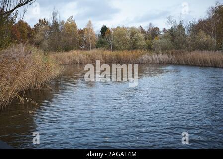 Wunderschöne Aufnahme eines von Bäumen umgebenen Sees mitten im Irchel Park, Zürich Stockfoto