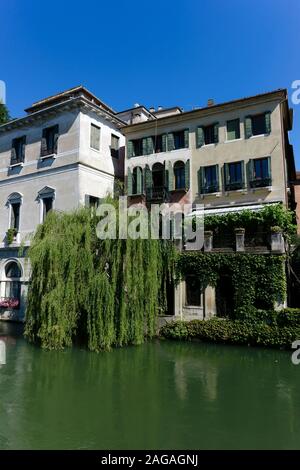 Blick auf die typisch venezianischen Gebäude entlang der Fluss Sile, Riviera Santa Margherita. Weeping Willow Tree. Treviso, Venetien, Italien, Europa. Kopieren Sie Platz. Stockfoto