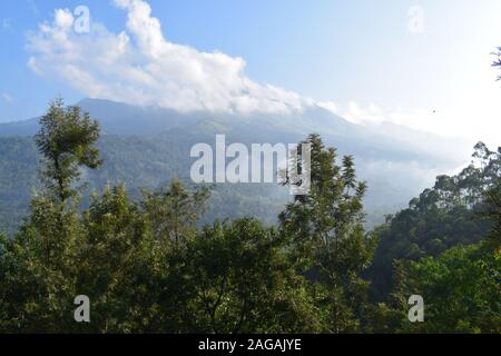 Hügel und Wälder von Munnar Kerala Stockfoto