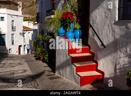 Weihnachtssterne in einem gemusterten Straße mit Kopfsteinpflaster in der Altstadt Das weiße Dorf Frigiliana im typischen Stil Andalucían, Provinz Malaga, Spanien Stockfoto
