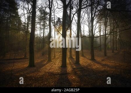 Atemberaubende Aufnahme eines Sonnenaufgangs über dem Nationalpark Veluwezoom In den Niederlanden im Herbst Stockfoto