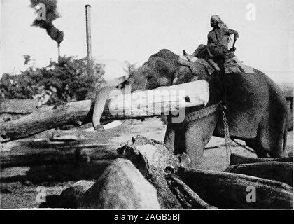 . Wo die halbe Welt erwacht, den Alten und den Neuen in Japan, China, auf den Philippinen und in Indien, berichtete mit besonderer Bezugnahme auf die Amerikanischen Verhältnisse. Eine STRASSENSZENE in Manila. Stockfoto