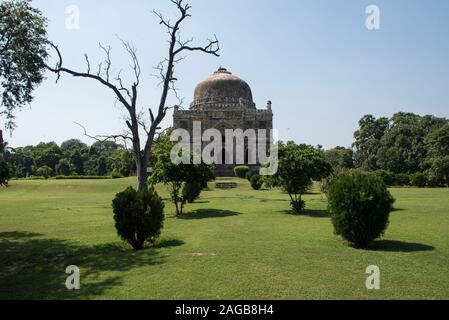 Das 15. Jahrhundert Shish Gumbad Mausoleum in Lodhi Gärten Delhi Stockfoto