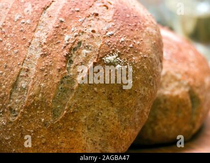 Frisch zubereitetes Sauerteigbrot mit Krummtextur. Zwei runde Laiben kühlen sich ab. Nahaufnahme. Stockfoto