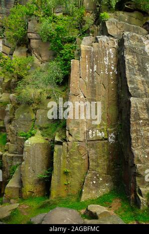 Abgebrochene gritstone Gesichter im Sonnenlicht arbeitete in Bole Hill Steinbruch in der Nähe von Grindleford, Peak District Stockfoto