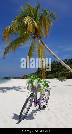 Fahrrad vor Palme auf den Malediven Stockfoto