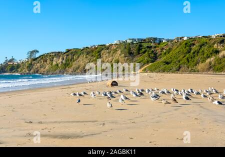 Strand in Kalifornien Stockfoto