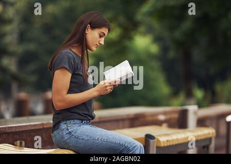 Junge brunette sitzt auf der Bank und liest Buch. Bäume im Hintergrund Stockfoto