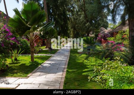 Bürgersteig umgeben von schönen Pflanzen und Blumen und Bäumen im Senegal, Afrika Stockfoto