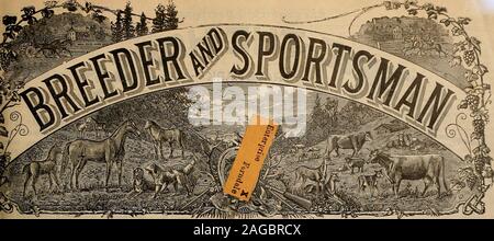 . Züchter und Sportler. 538 Market Street. F Die Weltgrößte Shooting Record FRED GILBERT, der Spirit Lake, La., seit Jan. 1,1902, hat im Wettbewerb auf 5765 Ziele geschossen und brach 5532 oder 95,9 Prozent, mit einem PARKER GUN XT. MWST U! SH0T AN BRACH PRO CEXT^^z atch Miss 400 396 99 F° l?° £ g?V-Ia 300 296 98,6 Lakefield, Minn 205 & gt; 03 99 Sioux City La 360 351 a7 Dubuque, IA 360 .351 q 7 5 DIE ALTEN ZUVERLÄSSIG IST ZUVERLÄSSIG. PARKER BROTHERS MERIDEN, CONN für Katalog senden. "^". T. Verkaufsraum; 32 Warren St. AH Arten von Munition. apaS° 0 Qn auf Jäger Waffen Co., Fulton, NEW YORK, Phil. B. BEKEART Stockfoto