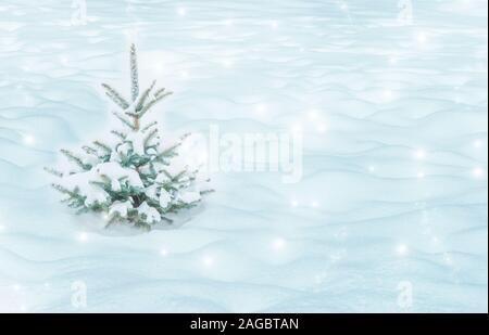 Natürliche Winter Weihnachten Hintergrund mit kleinen mit Schnee bedeckt. Winterlandschaft mit fallender Weihnachten glänzend schöne Schnee Stockfoto