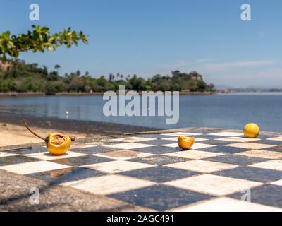 Kleine gelbe Früchte auf konkrete Tisch mit Blick auf das Meer und die Bäume im Hintergrund, blauer Himmel, Insel Paqueta, Rio de Janeiro, Brasilien Stockfoto