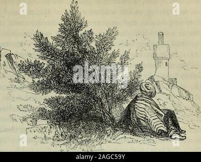 . Palästina: die Physische Geographie und die Geschichte des Heiligen Landes. Oder drei Hektar des adjacentmountains, entdecken jeden Strauch und Baum (die dicken Büsche, Psalm xxix. 9.), dass grewupon. Die Atmosphäre, von Beginn des Abends hatte bemerkenswert thickand diesig gewesen, und der Tau, wie auf die zäume fühlte, war ungewöhnlich feucht und Salbungsvollen. Bäume und Sträucher. - 7 Ae Oleaster bietet seine Frucht im April. Von diesem Baum, Palästina hasthe zwei weitere Arten gekennzeichnet, Eloeagnus augustifolia und E.orientalis, von denen die formercan Unsere offenen Gärten ertragen, während Letztere erfordert die p Stockfoto