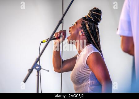 Seltene Wesen auf der Bühne im Jahr 2019 National Folk Festival, Salisbury, Maryland, USA Stockfoto