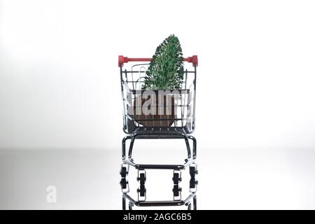 Vorderansicht des Mini Weihnachtsbaum in kleinen Einkaufswagen auf hellen Hintergrund Stockfoto