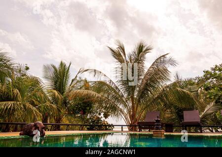 Low-Angle-Aufnahme von verschiedenen Arten von Pflanzen, die sich in Der Pool und ein süßer Elefant Stockfoto