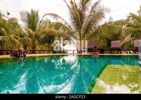 Low-Angle-Aufnahme von verschiedenen Arten von Pflanzen, die sich in Der Pool und ein süßer Elefant Stockfoto