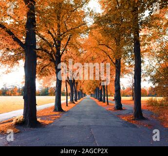 Schöne romantische Gasse in einem Park mit bunten Bäumen, Herbst Landschaft Stockfoto