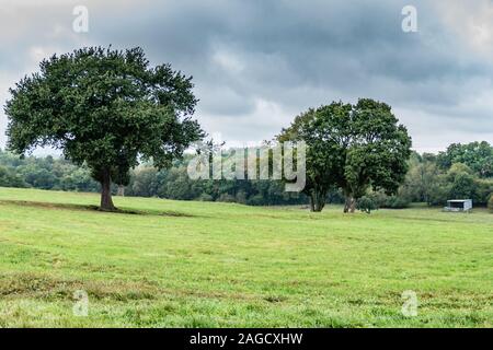 Hügelige Landschaft mit Bäumen, Tier Schuppen von Wellblech, rund um das historische Stadtzentrum von Old-Breinig. Breinig-Stolberg (Rheinland), Noord Stockfoto