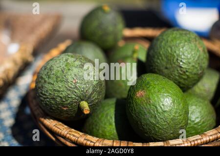 Viele frische Avocados in einem gewobenen Korb mit einem Unscharfer Hintergrund Stockfoto