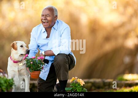 Älterer Mann im Garten arbeiten mit seinem Hund. Stockfoto