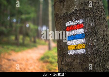 Kennzeichnung der touristischen Route auf dem Baum gemalt. Reiseroute unterzeichnen. Jahreszeit der Herbst mit Sonnenstrahlen peeking Thru verlässt. Stockfoto