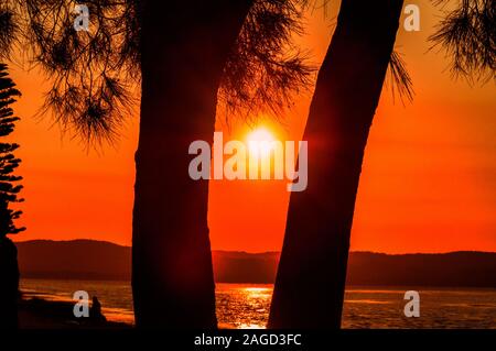 Wunderschöner Sonnenuntergang über dem ruhigen Meer, sichtbar durch zwei Bäume Stockfoto