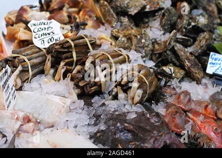 Rasiermesser Muscheln und Muscheln am Fischmarkt Stockfoto