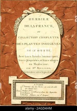 . Herbier de la France; Oe, Collection complette des Plantes indigenes de ce Royaume; avec leurs proprits, et leurs usages en Tiermedizin. ^^l?^% l":?-""-. N^PLANTl - VlAKNKUSl, DF, LA-lRAXCK, PI. herbierdelafranc 148 Stier Stockfoto