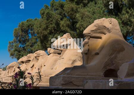 NOVEMBER 17, 2019 - Luxor, Ägypten, Karnak Tempel Komplex umfasst einen breiten Mix aus verfallenen Tempel, Kapellen, Pylone, Luxor, Ägypten. während des Mittleren Reiches begann Senusret Stockfoto