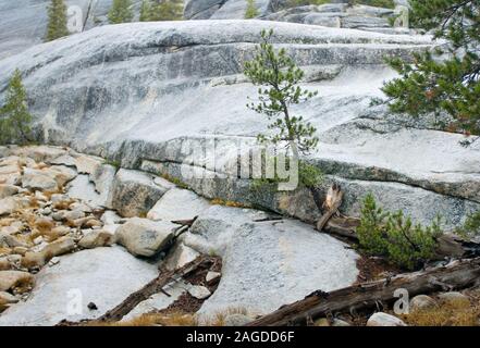 Gefrorene Landschaft von Schnee bedeckt die Felsformationen in der parken Sie im Winter Stockfoto