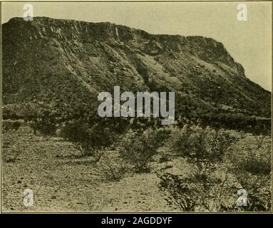 . Die Geographie von Texas, physischen und politischen. Abb. 15. East End von Elephant Head, IciNEors R (k k, TerlingiaQuicksilver Bezirk, Brewster County. Abb. 10. Die Sti i) V Butte, Sedumentakv Einlagen (auied mit igne-ous KocK, Teklingua Quicksilver Bezirk, Brewster County 26 RELIEF UND BODEN 27 Texas-New Mexiko Grenze. Es stellt für den Westen eine ahnost southand senkrecht Gesicht mehrere thousandfeet hoch. Mount Livermore, in die Davis Mountains, hat eine Höhe von 8382 Fuß; Santiago Peak, südlich von Alpine, Stockfoto