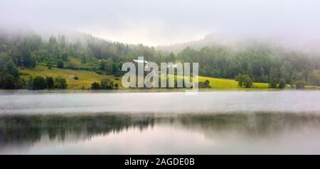Meadowy-Hügel, bedeckt mit Nebel, der sich aus Wasser in Höga Kusten (Hohe Küste), Schweden, reflektiert Stockfoto