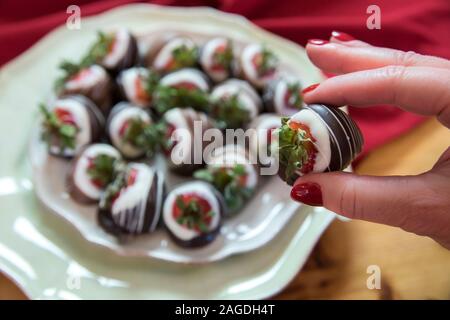 Woman's Hand, die in Schokolade getauchte Erdbeeren Stockfoto