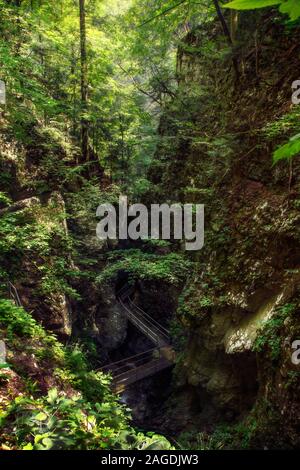 High-Winkel-Aufnahme einer Brücke von Felsen und umgeben Grün im Teufelspark in Kroatien Stockfoto