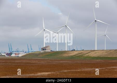 Bereich der Windkraftanlagen in der Nähe des Hafens von Rotterdam in Niederlande Stockfoto