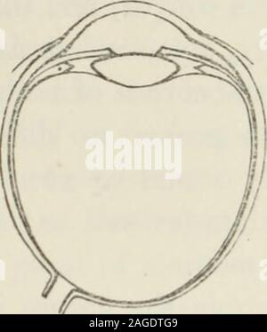 . Auf der Anomalien der Unterkunft und der Refraktion des Auges, mit einem einleitenden Essay über Physiologische dioptrics. Abb. 56. Stockfoto