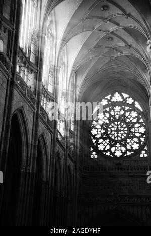 Licht, das in den Veitsdom eindringt Stockfoto