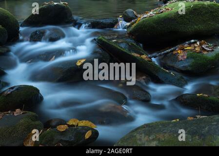 Nahaufnahme des schäumenden Wassers des Flusses Die moosigen Steine mit herbstlichen Herbstblättern Stockfoto