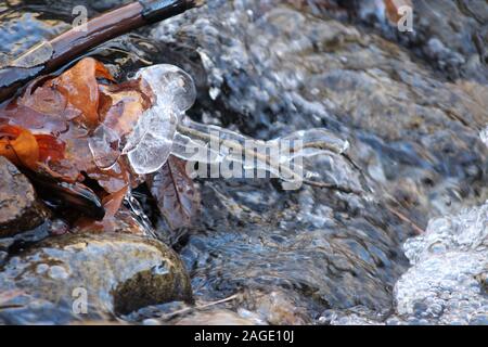 Nahaufnahme eines gefrorenen Sticks mit Eis in der Nähe bedeckt Ein Fluss in den Steinen Stockfoto