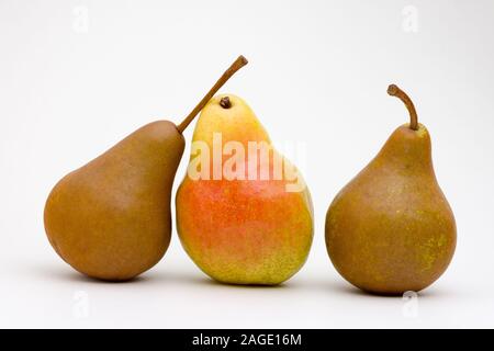 Gelbe Birne zwischen zwei braunen Birnen auf weißem Grund Stockfoto